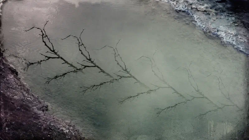 Repeated branch reflections fade and shift across a cold tidal pool.